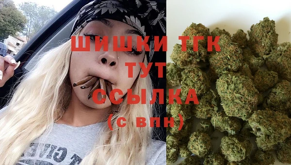 гидра Беломорск