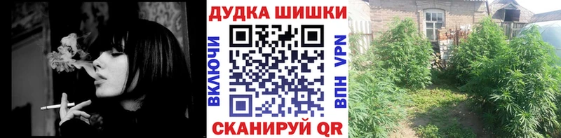 Каннабис OG Kush  Шелехов 